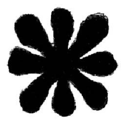 Nervous Nelly Records